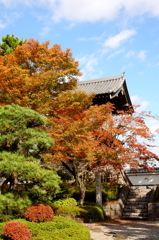 秋の庭園