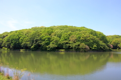 葉緑の池