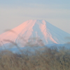 葦野原の富士