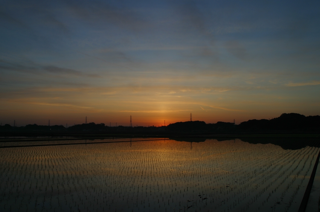 田植え後の夜明け