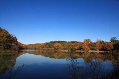 里山の湖沼