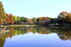 秋の釣り池