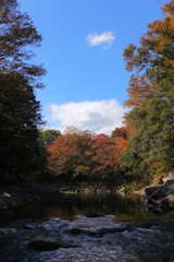 里川の秋