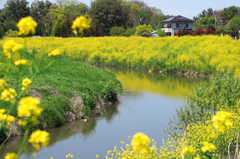 四月の里川
