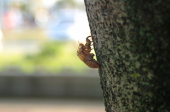 過ぎた時間