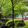 朝の公園緑地