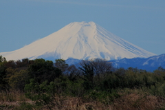 富士遠望