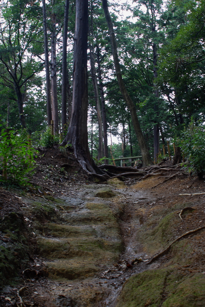山道