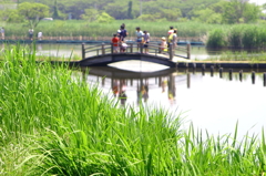 水郷公園