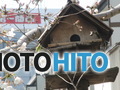 3cd52092f86408b7ba8ae91de456d665_s