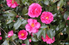 129207390230116227238_IMG_0900