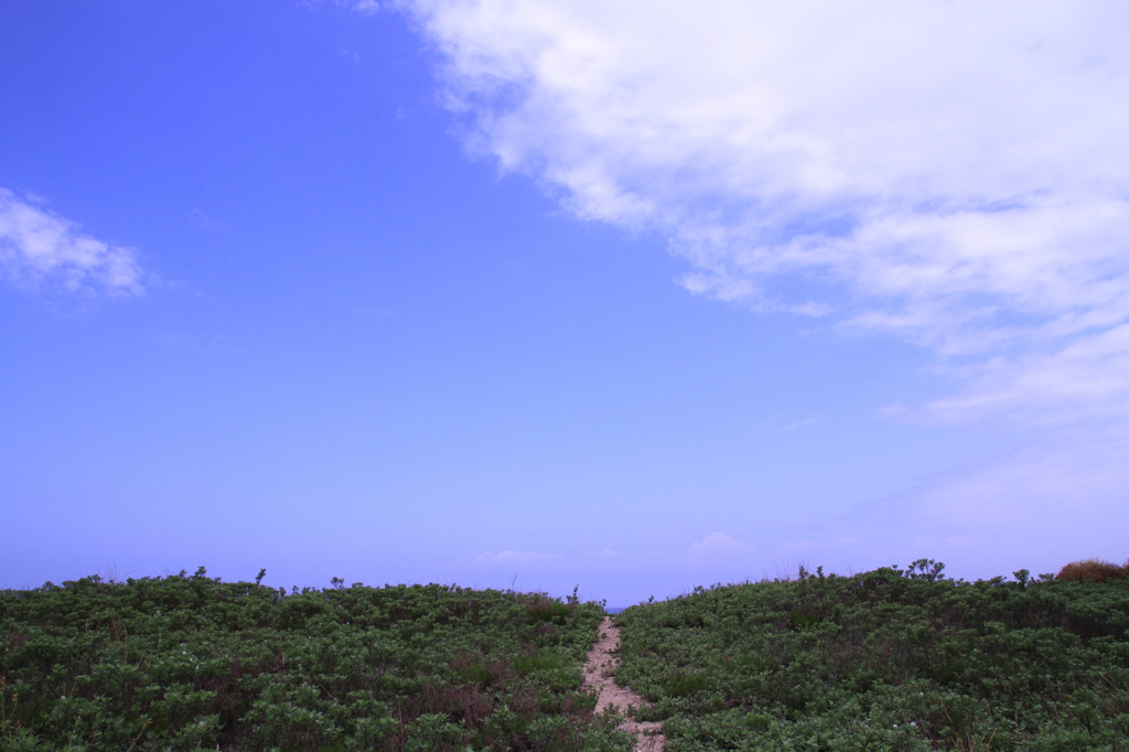 空への小道
