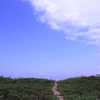 空への小道