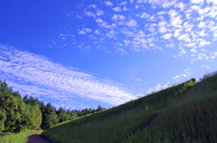 青空