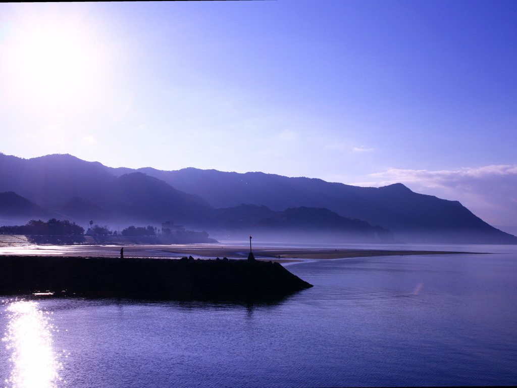 ある朝の風景