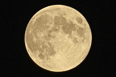 中秋の名月
