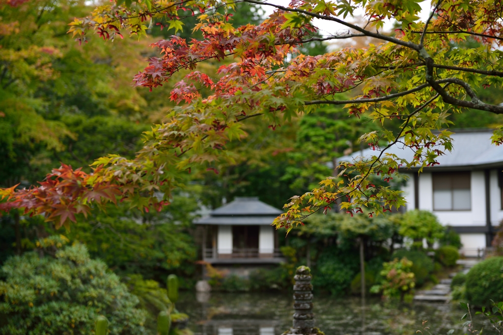 庭園