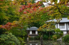 庭園