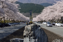 冨士霊園