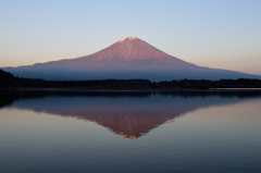 今日の富士山（１４年１０月２９日）
