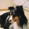 フィルム写真４　なかなかのピントちゃい