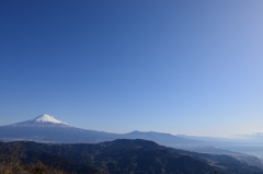 駿河湾と富士山の距離