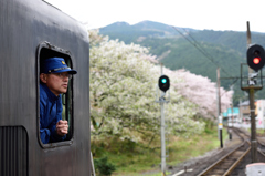 運転手さんと信号