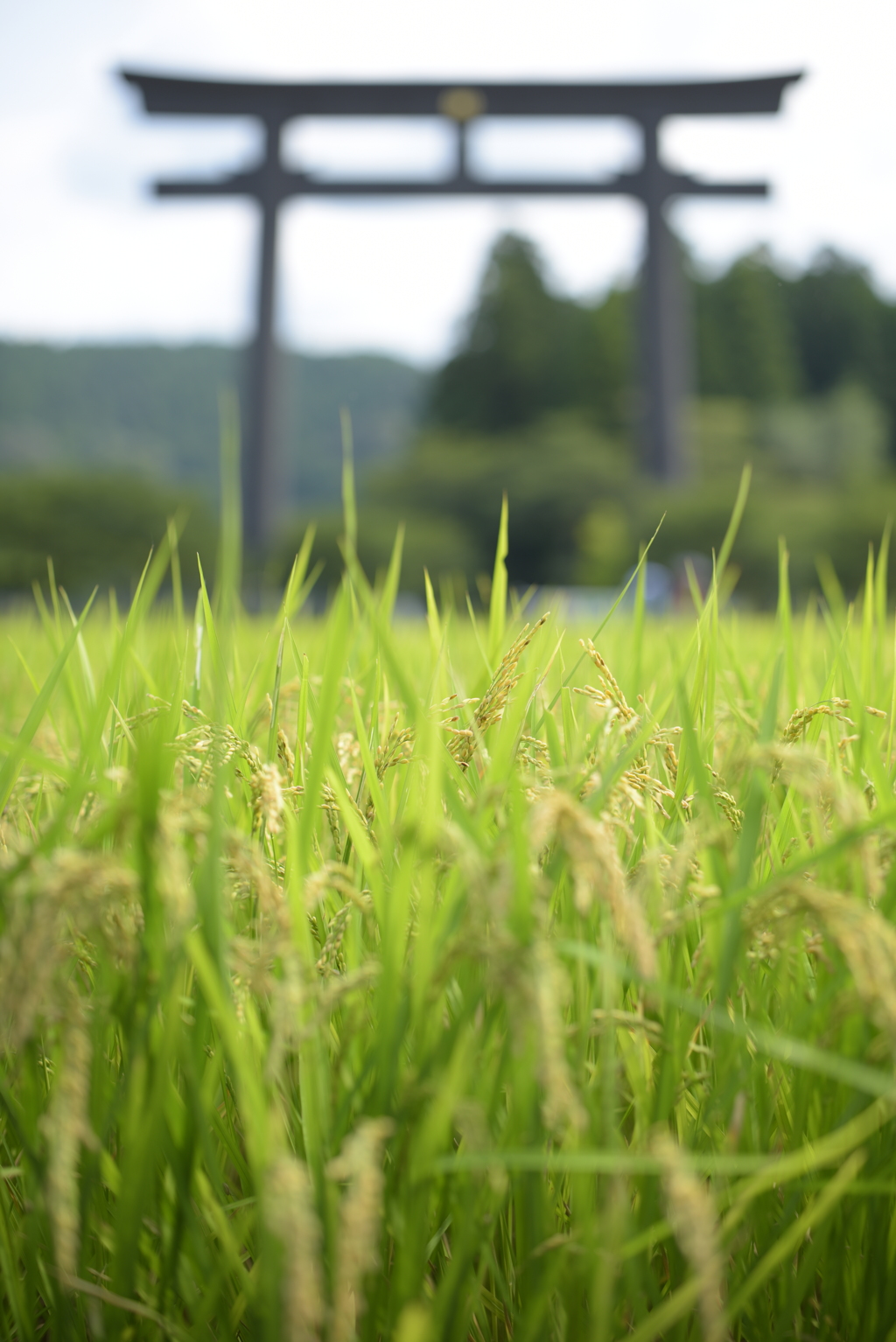 ツァイスと行く！ていやぁの夏休み３０