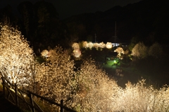 山からの十輪寺