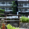 単焦点５０ｍｍの旅ｉｎ修善寺（お地蔵さん）