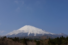 ４４ｍｍ富士山
