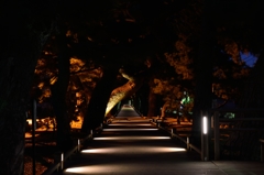 松原遊歩道