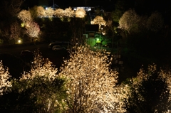 木蓮寺