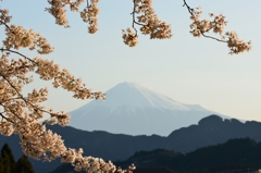 今日の富士山（４月７日）
