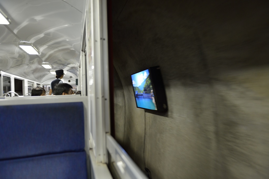 世界の車しょう