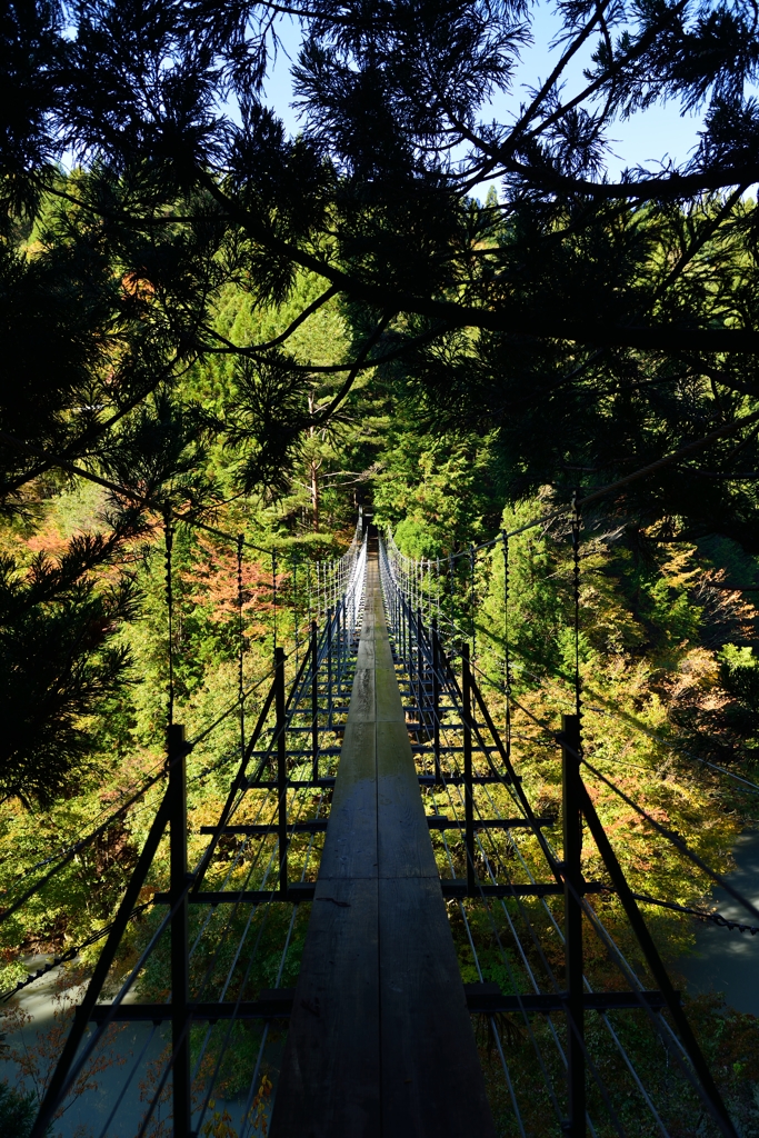 井川湖の夢の吊り橋