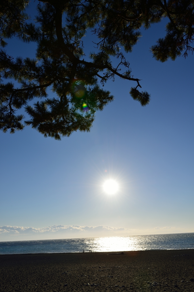 松と海と家族