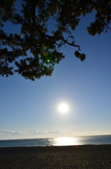 松と海と家族