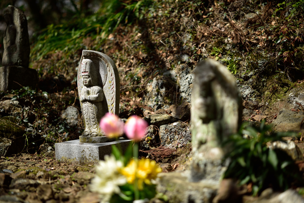 Otus５５ｍｍの旅ｉｎ花沢の里（地蔵）