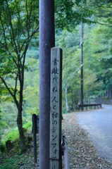芭蕉もビックリ