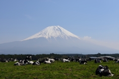 今日の富士山（４月１５日）