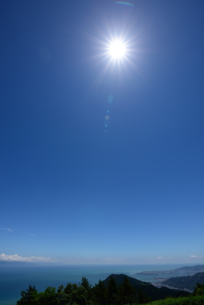 ぴーかんの駿河湾