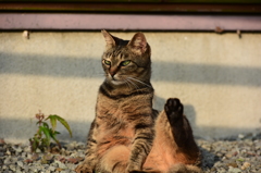 よぉ　ノ