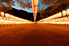 護国神社・万灯みたま祭2