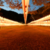 護国神社・万灯みたま祭2