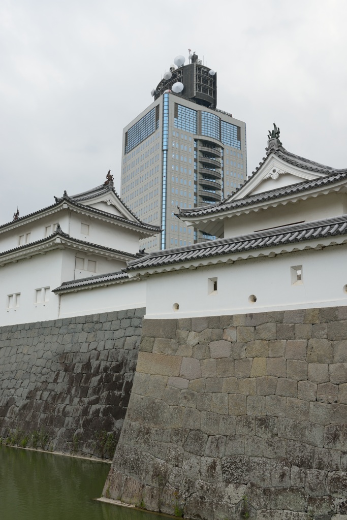駿府城本丸