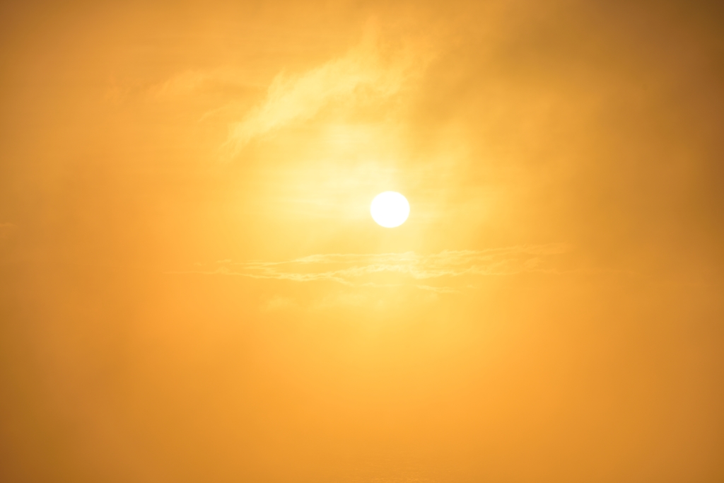太陽に霧中
