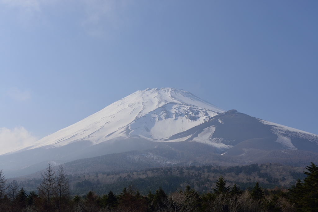水ヶ塚公園からの富士山