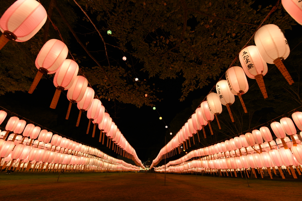 護国神社・万灯みたま祭４
