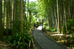単焦点５０ｍｍの旅ｉｎ修善寺（竹林の小径）
